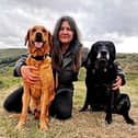 Rachel Bean is giving this advice to Lancashire dog owners - Animal News Agency