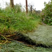 There is concern that artificial grass laid on the Tolkien Trail in Hurst Green could pollute the River Ribble