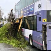 These were the scenes this morning when high winds, brought by Storm Pia, caused a section of a conifer tree to snap and fall onto a bus as it travelled through Cliviger.