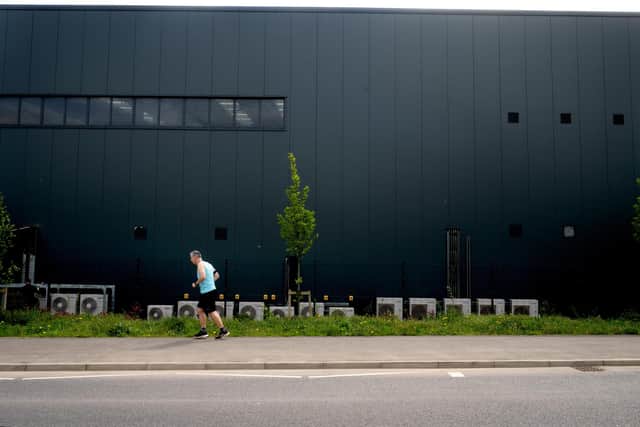 Councillors have insisted that if any of the new trees die before the end of the 2030s, they will have to be replaced with more substantial ones
