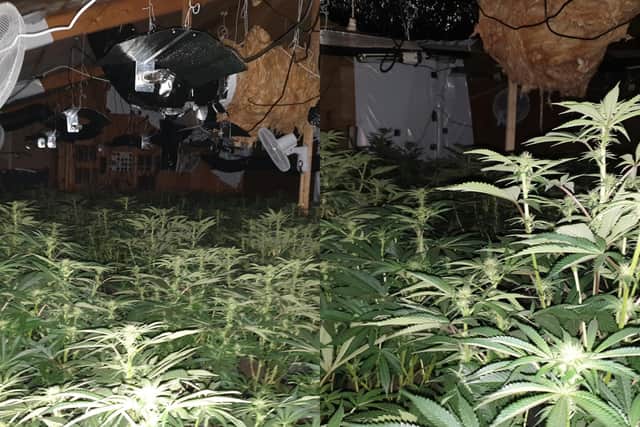 A large cannabis factory containing 406 plants was discovered after police raided an address in Catterall (Credit: Lancashire Police)