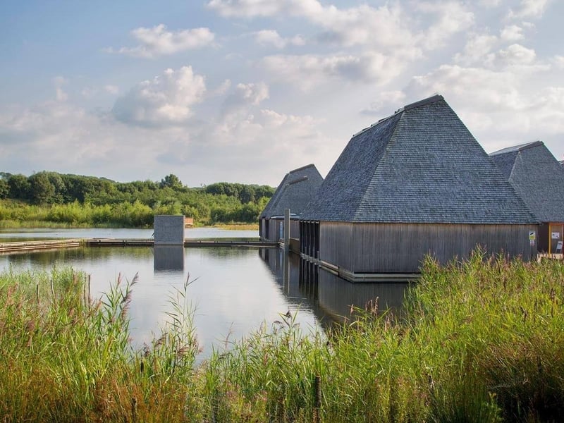 Owned and managed by the Wildlife Trust for Lancashire, Manchester and North Merseyside, Brockholes Nature Reserve offers visitors the chance to peruse a cornucopia of wild habitats for countless furry friends. 
Sprawling to over 250 acres of pristine nature reserve, Brockholes also has food and drink outlets as well as craft sessions - plus there's a huge playground for younger members of the family.
A warning though  - the whole site is dog-free.