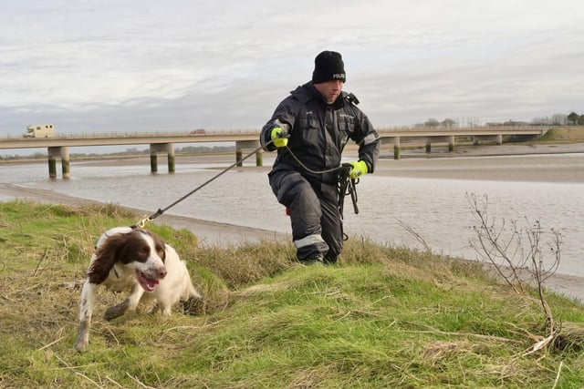 The mother-of-two's phone was later discovered on a bench still connected to a work call, with her springer spaniel also found running loose.
