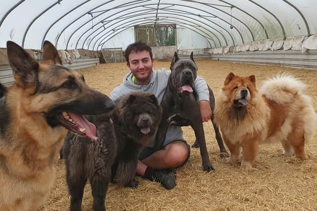 Jack Valentine with his six dogs. The student says the cost of some of his vet treatments have almost tripled.
