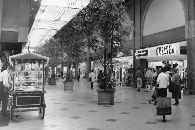 Shoppers were given a taste of nature at Fishergate Shopping Centre with this row of charming trees. However, the trees weren't completely natural!