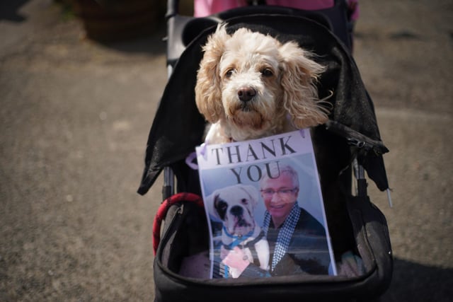 A person waits outside the Walnut Tree Pub with their dog ahead of the cortege for Paul O'Grady travelling past.