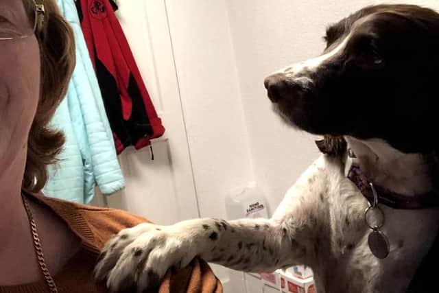 Sensing stress, Poppy would place a paw on Lynne's shoulder when it was time to say stop working