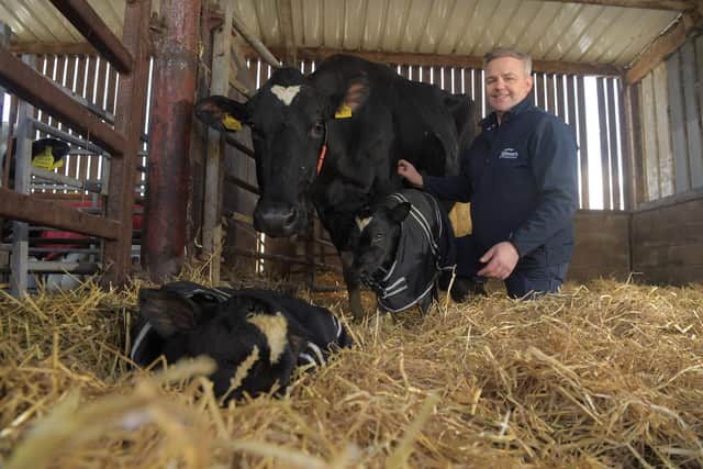 NW Dairy Board chairman Graham Young at his farm in Samlesbury  Photo: Neil Cross