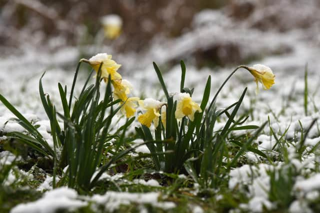 The UK Health Security Agency also issued a level 3 cold weather alert for the whole of England (Credit: Neil Cross)