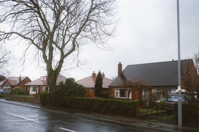 The 130-year-old tree in this image from 1994 sparked a row between a Lancashire woman and her local authority. Elizabeth Thomas, of Cop Lane, Penwortham, wanted to chop down the protected ash in her front garden because she believed its root system was wrecking her house. But officers at South Ribble Council said the tree was of "special amenity value" and had been the subject of a Tree Protection Order for a number of years