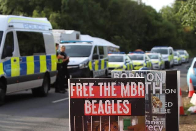 Animal activists broke into a beagle breeding facility in Huntingdon this week and managed to free five dogs during a second day of protests against animal testing