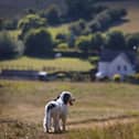 Make the most of the sunshine on a day out in Lancashire