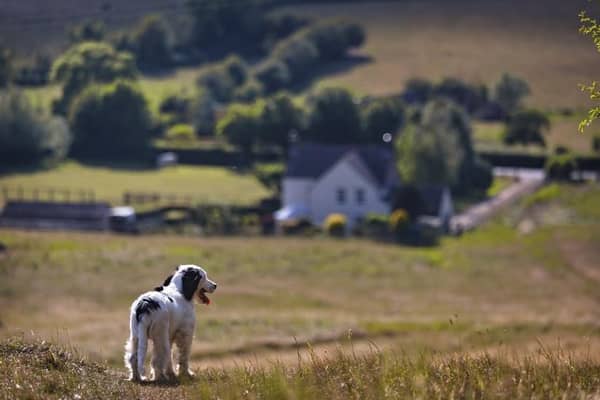 Make the most of the sunshine on a day out in Lancashire