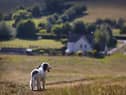 Make the most of the sunshine on a day out in Lancashire