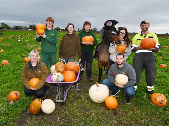 A team of enthusiastic volunteers at Paul's Farm Pumpkin Patch, Leyland, ready to host the third and final weekend of Halloween family fun.