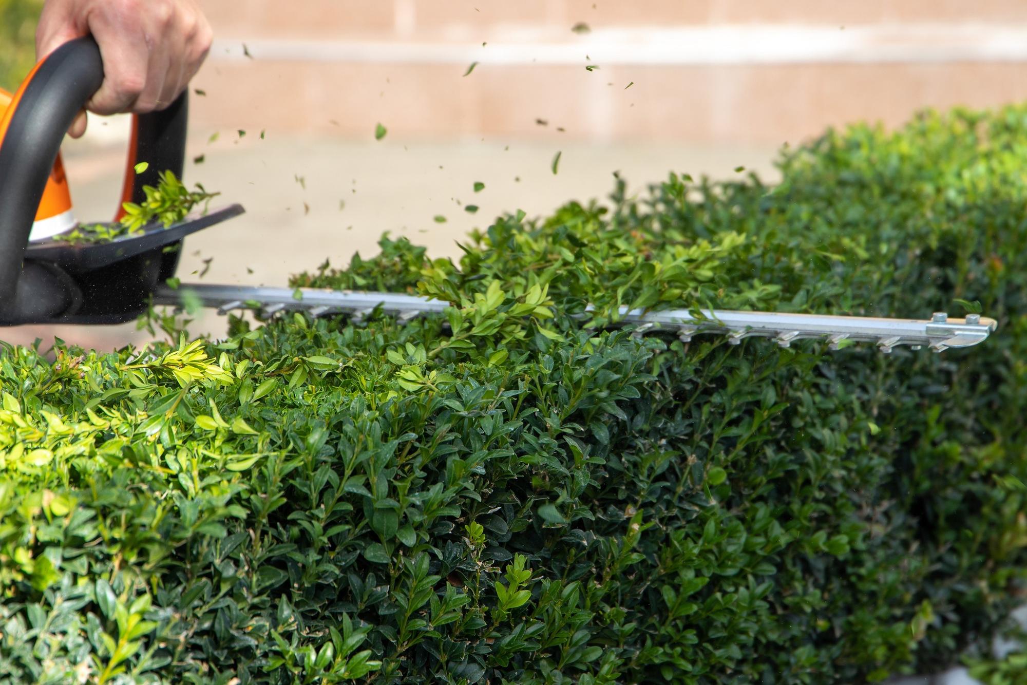Cut garden costs up to £100 by buying essentials now for spring