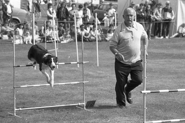 Crowds of visitors poured into Preston's Moor Park for one of the country's finest agricultural shows - the two-day Great Northern Show. Pictured here is a pair of competitors in the dog agility competition