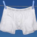 Forepoint Big Briefs