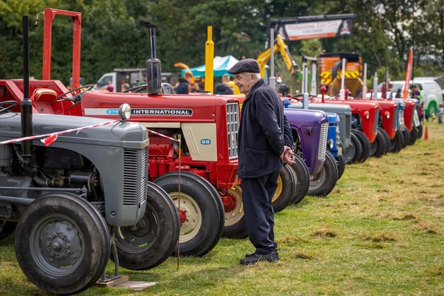 A visitors checks out the tractors on show at the Kirkham and Rural Fylde Rotary Steam Fair at The Villa, Wrea Green.