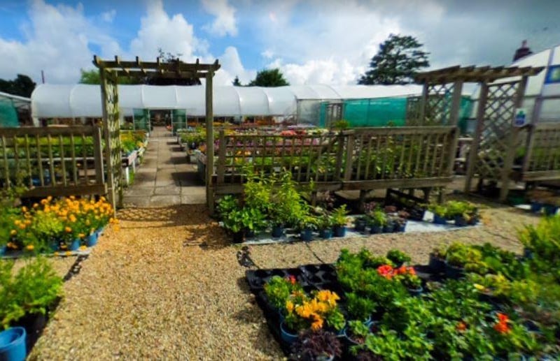This nursery in Bells Lane rates as 4.8 out of 5 on Google Reviews.
It is a family-run business and the majority of plants sold are propagated and grown in its own onsite nursery.