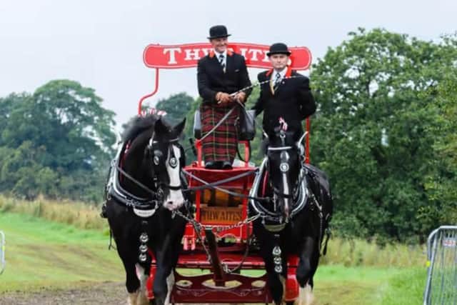 Thwaites horses at the Royal Lancashire Agricultural Show 2021. Photo: Kelvin Stuttard