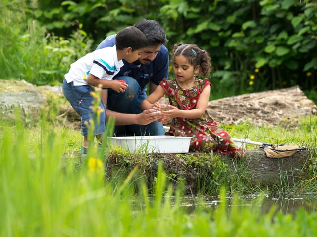 Children pond dipping with an RSPB volunteer - by RSPB (rspb-images.com).