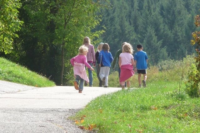 You’ll be amazed at what’s available on your doorstep. Search online for local walks and woods that you probably didn’t even know about.