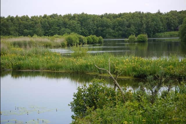 Mere Sands Wood in Rufford is one of this year’s destinations for the Preston Society’s trips