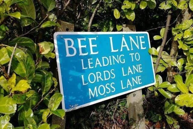 Bee Lane and surrounding rural routes could look very different if the Pickering's Farm estate gets the go-ahead