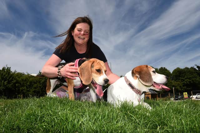 Vicky with her beagles at the Release the Dogs' event she organised last month at Avenham Park in Preston