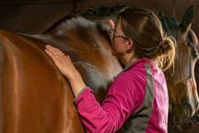 New Equine Guided Therapy Experience