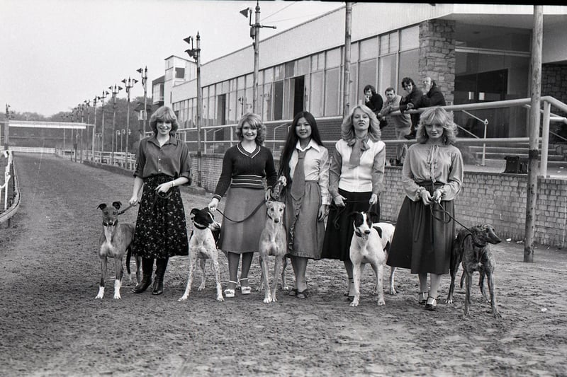 These five lovely ladies were at Preston Stadium to launch a competition to win a Christmas hamper. To win you had to forecast the result of a race beetween the greyhouds the girls entered. They are (from left to right): Dog A entered by Julie Thompson; Dog B entered by Christine Moran; Dog C entered by Eva Shirtcliffe; Dog D entered by Christine Watkins and Dog E entered by Kym Monk