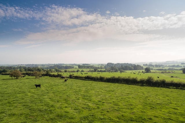 Land (credit: Savills)