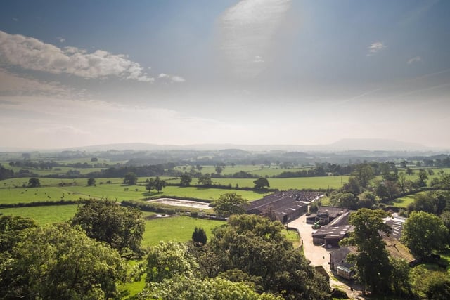Aerial (credit: Savills)