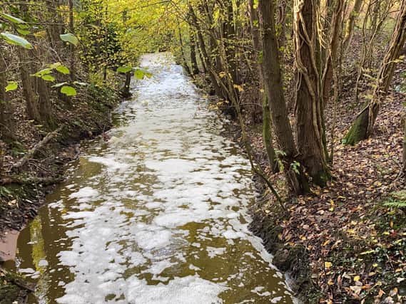 The polluted Savick Brook waterway (Image: submit)