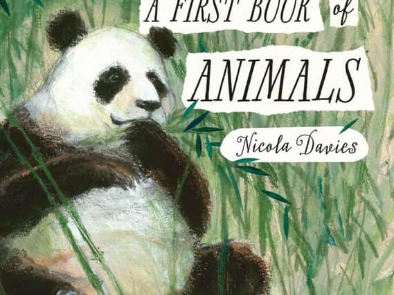 Amazing animals, dazzling Dickens and melting snowflakes