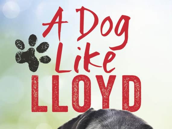 Dogs work their magic in two books from Ebury Press