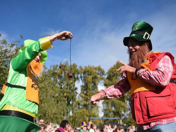 Scott Hayler (left) takes on Terry Williams during the annual World Conker Championships