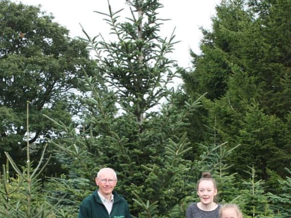 The Tree Barn's Chris Hodge with grandaughters Lucy and Imogen at The Tree Barn in Blackrod