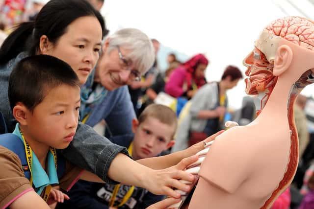 Mac Zhang, 8, from Preston puts together a human body model from the School of Medicine at least year's festival.