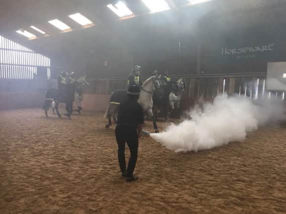 The new recruits at Lancashire Police's mounted division are tested with smoke. Photos: Lancs Police Mounted