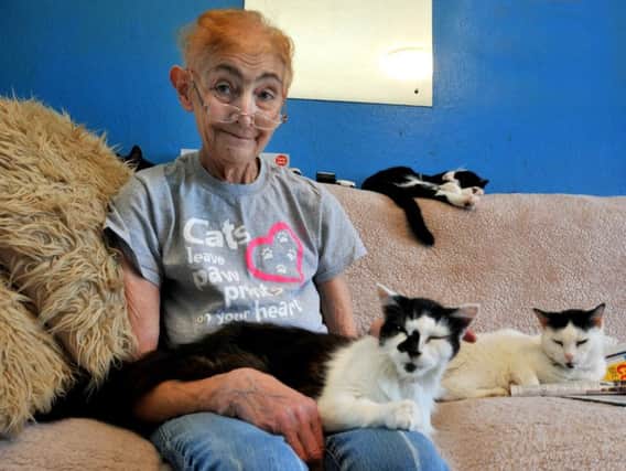 Marlene Brewer runs animal sanctuary, Cats in Crisis, has been caring for vulnerable cats for over 20 years and has been forced to rehome 70 cats after being diagnosed with terminal cancer