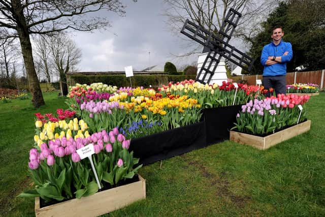 Tulip Day at Brighter Blooms brought the opportunuity to  display blooms in wooden containers