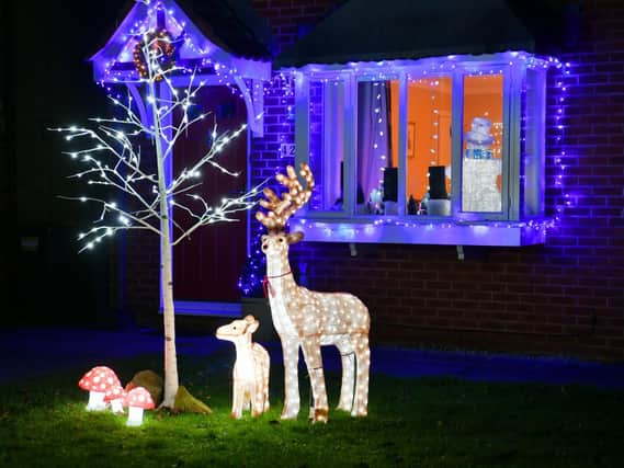Wildlife brings a vision of Christmas peace to the front garden of this house.