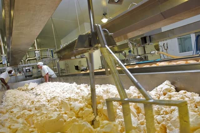 Making cheese at Dewlay