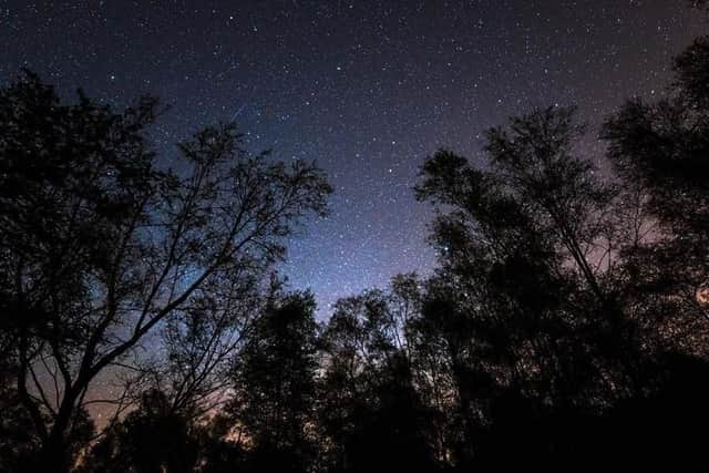 Bowland Darks Skies Festival offers a chance to learn more about the night sky