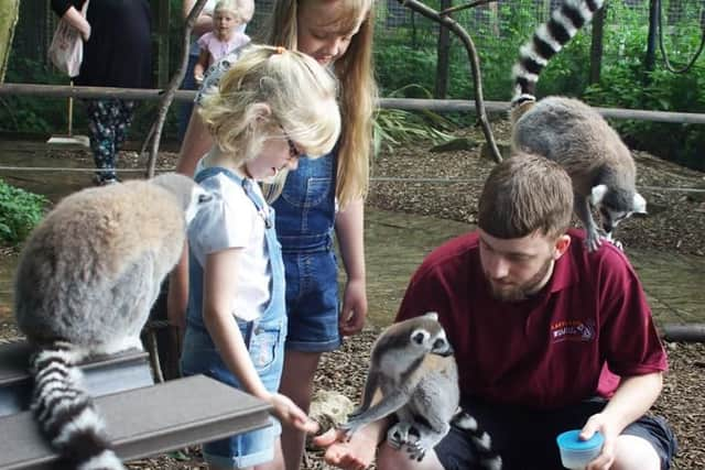 British Science Week is coming to Lakeland Wildlife Oasis in Milnthorpe