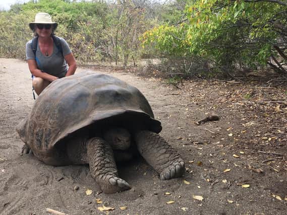 Catherine Galaska, of Scorton, meets a giant tortoise in the Galapagos Islands
