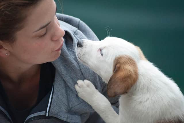 RSPCA are looking to recruit an Animal Care Apprentice to assist in the day-to-day running of their busy rescue & rehoming centre