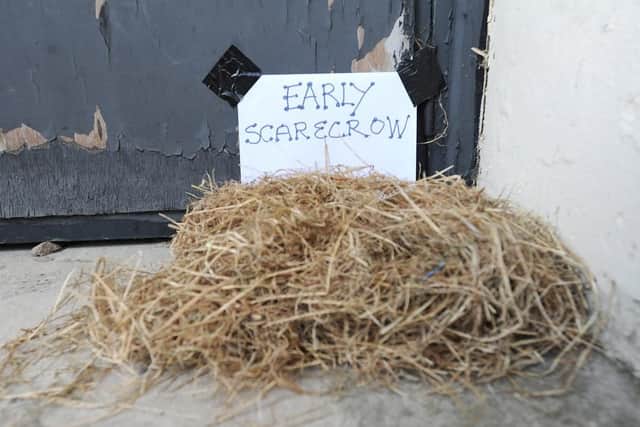 Early scarecrow